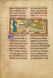 A Dragon-like Animal with Wings